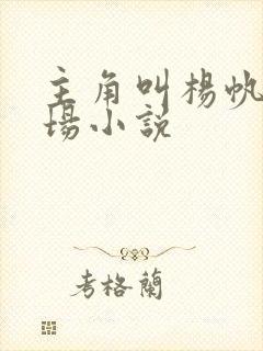 主角叫杨帆的官场小说