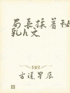 局长揉着秘书的乳h文