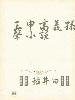 王申高义孙倩有声小说