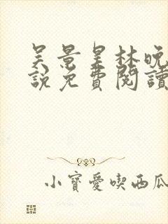 吴景昊林晚辞小说免费阅读最新章节封面