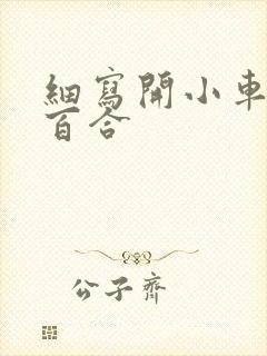 细写开小车车的百合封面