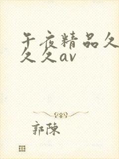 午夜精品久久久久久av