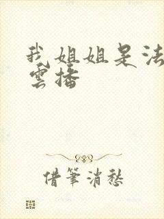 我姐姐是法官 云播封面