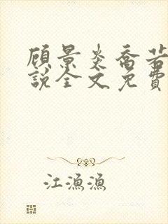 顾景炎乔若星小说全文免费阅读