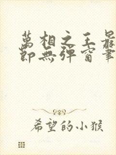 万相之王最新章节无弹窗笔趣阁封面