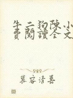 牛二狗陈小燕免费阅读全文