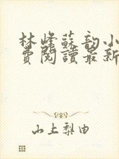 林峰苏韵小说免费阅读最新章节下载