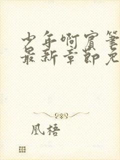 少年啊宾笔趣阁最新章节免费阅读