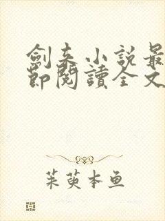 剑来小说最新章节阅读全文封面