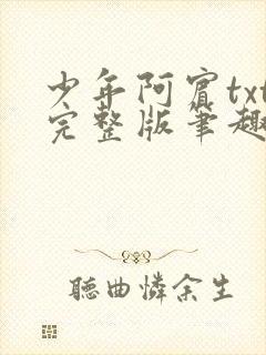 少年阿宾txt完整版笔趣阁封面