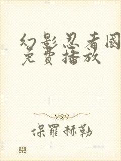 幻影忍者国语版免费播放