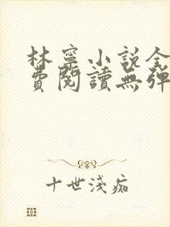 林宁小说全文免费阅读无弹窗