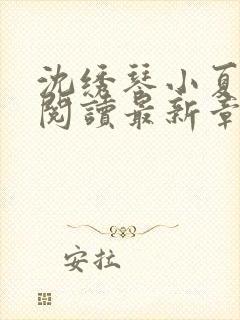 沈绣琴小夏全文阅读最新章节