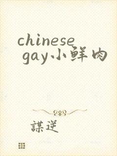 chinese gay小鲜肉