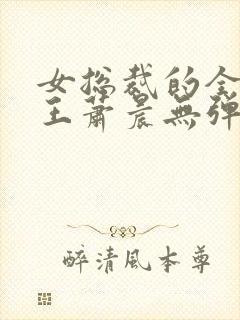 女总裁的全能兵王萧晨无弹窗