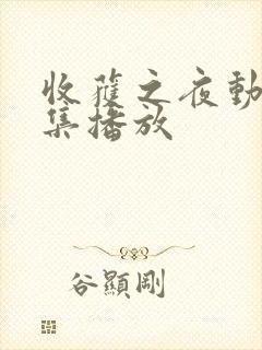 收获之夜动漫全集播放