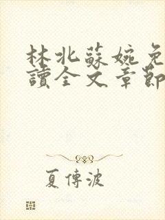 林北苏婉免费阅读全文章节