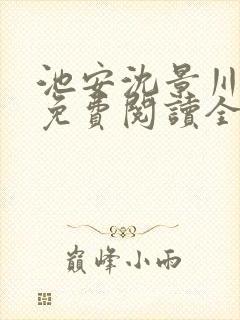 池安沈景川小说免费阅读全文最新章