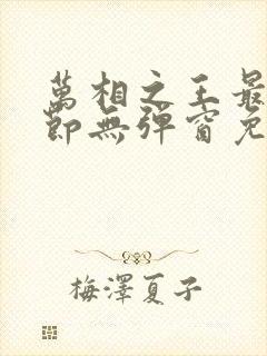 万相之王最新章节无弹窗免费阅读封面