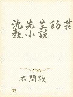 沈先生的花式管教小说