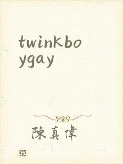 twinkboygay封面