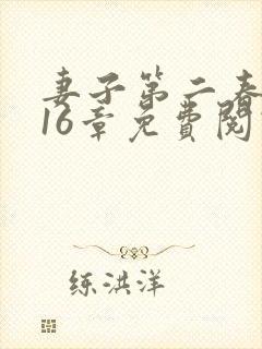 妻子第二春小说16章免费阅读