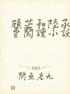 顾芒和陆承洲免费阅读小说下拉式封面