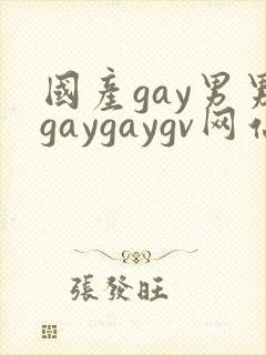 国产gay男男gaygaygv网站