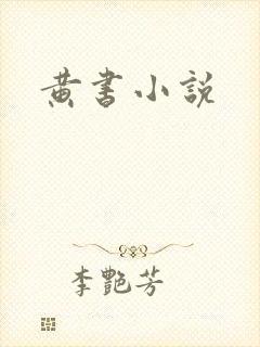 黄书小说封面