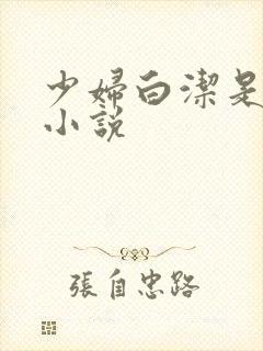 少妇白洁是哪本小说