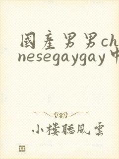 国产男男chinesegaygay中国帅哥网站