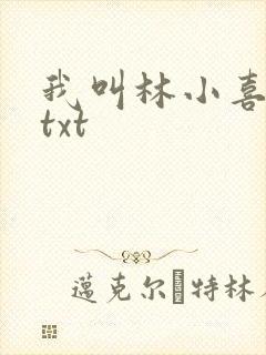 我叫林小喜小说txt