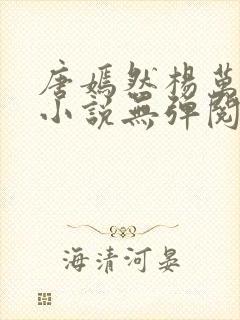 唐嫣然杨万里的小说无弹阅读