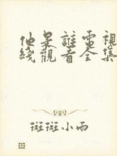 他是谁电视剧在线观看全集免费高清封面