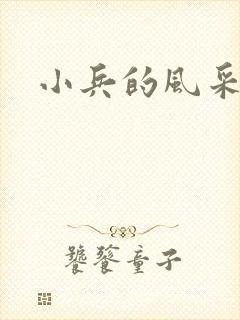 小兵的风采封面