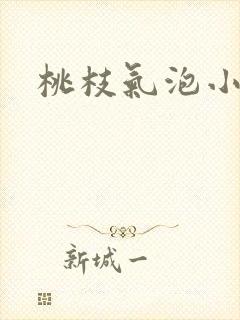 桃枝气泡小说封面