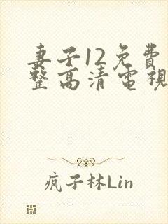 妻子12免费完整高清电视剧在线观看