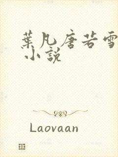 叶凡唐若雪医婿 小说