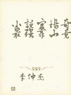 小说官场奇才:最强靠山竟是我自己李霖在