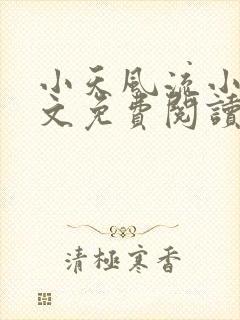 小天风流小说全文免费阅读无弹窗