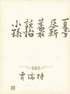 小说叶辰夏若雪孙怡最新章节