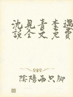 沈见青李遇泽小说全文免费阅读