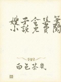 嫂子合集笔趣阁小说免费阅读