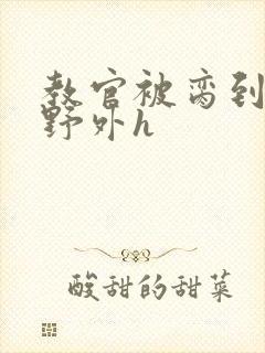 教官被脔到高潮野外h封面