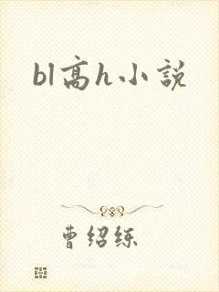 bl高h小说