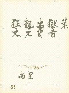 狂龙出狱叶风全文免费看