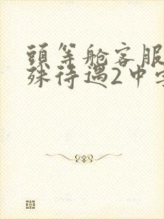 头等舱客服的特殊待遇2中字