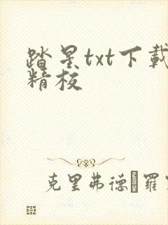 踏星txt下载精校