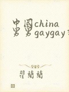 中国china男男gaygay视频