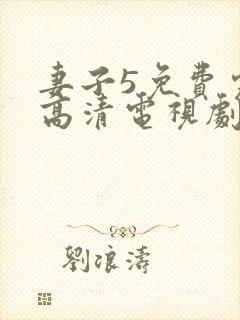 妻子5免费完整高清电视剧在线看